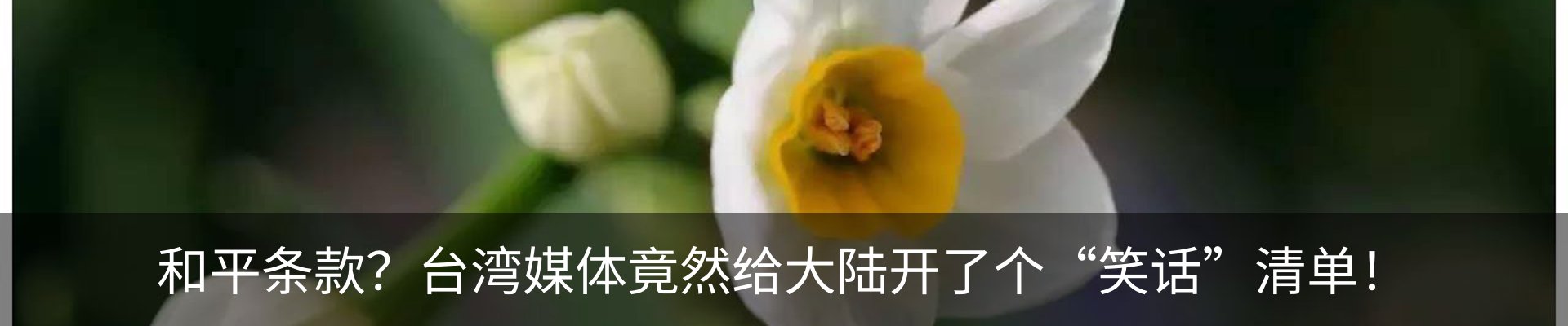 资讯动态