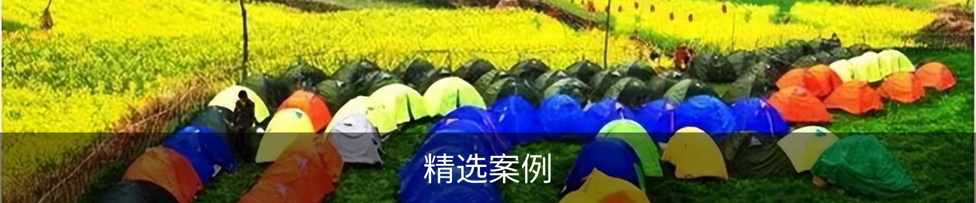 精选案例