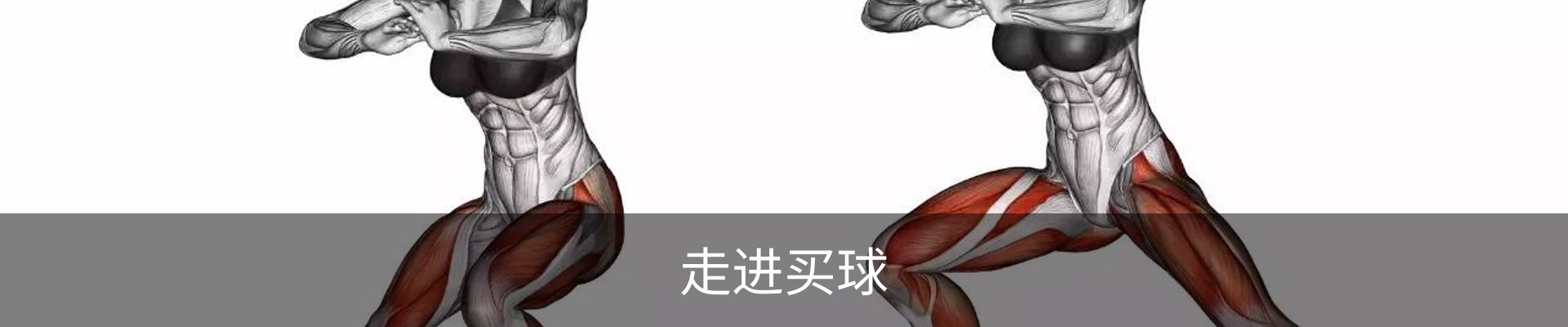 走进买球